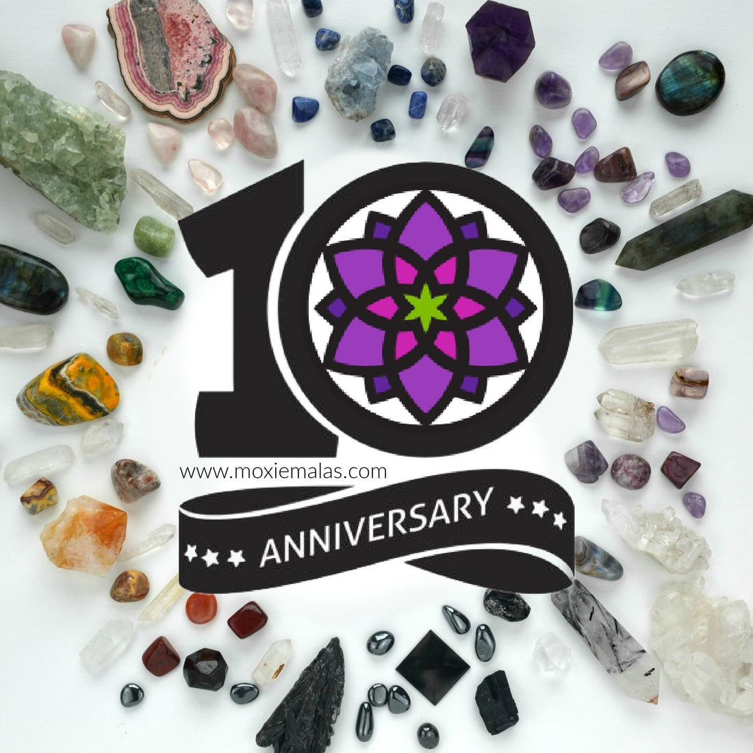 Come Celebrate 10 Years of Moxie!