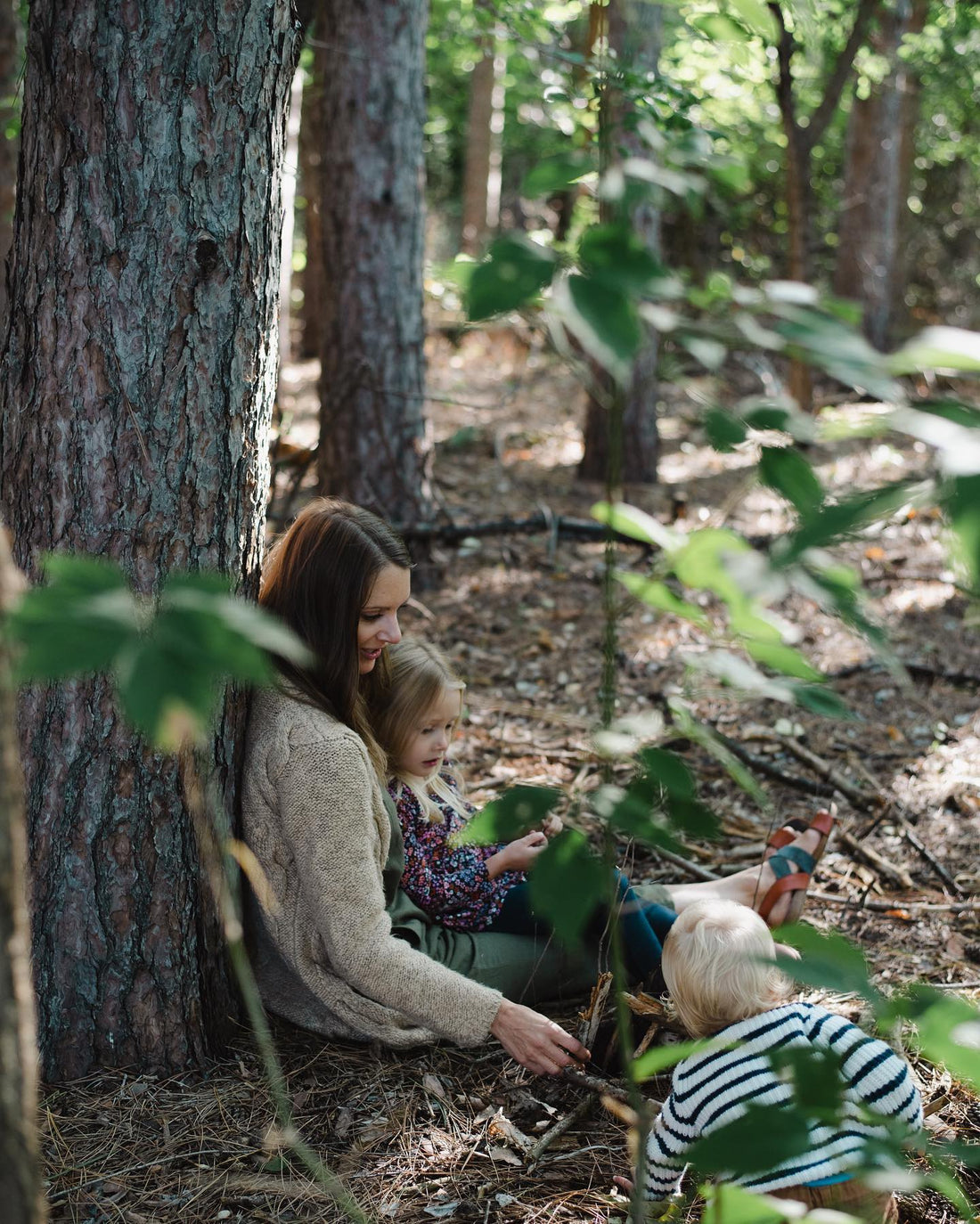 The Microbiome in Your Gut and How It Affects Your Mental Health and Overall Health.