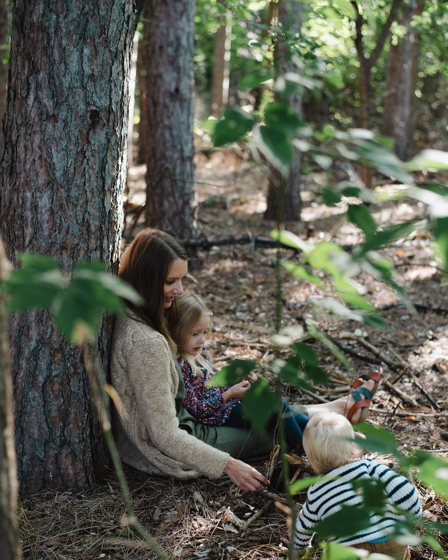 The Microbiome in Your Gut and How It Affects Your Mental Health and Overall Health.