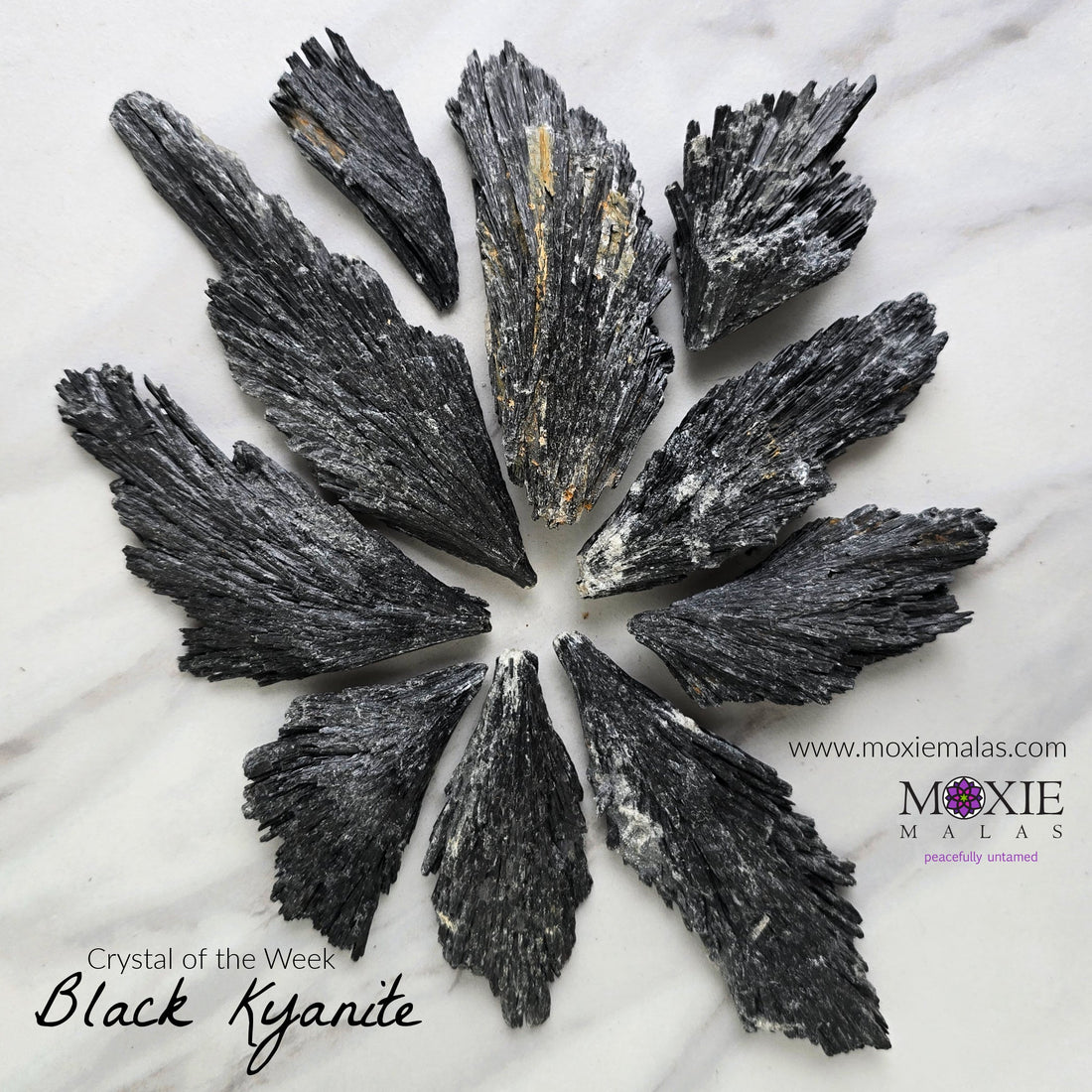 COTW | Black Kyanite