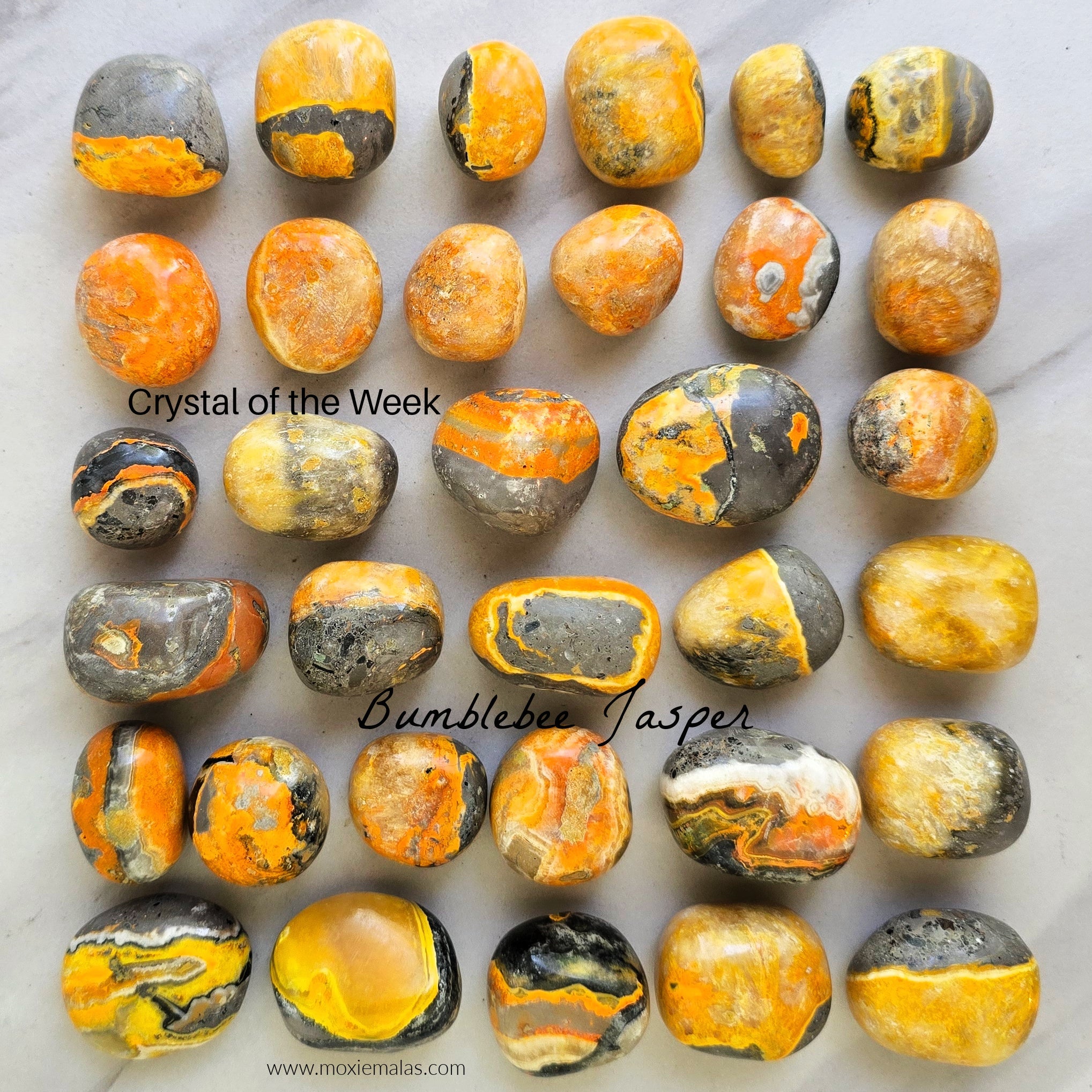 COTW | Bumblebee Jasper