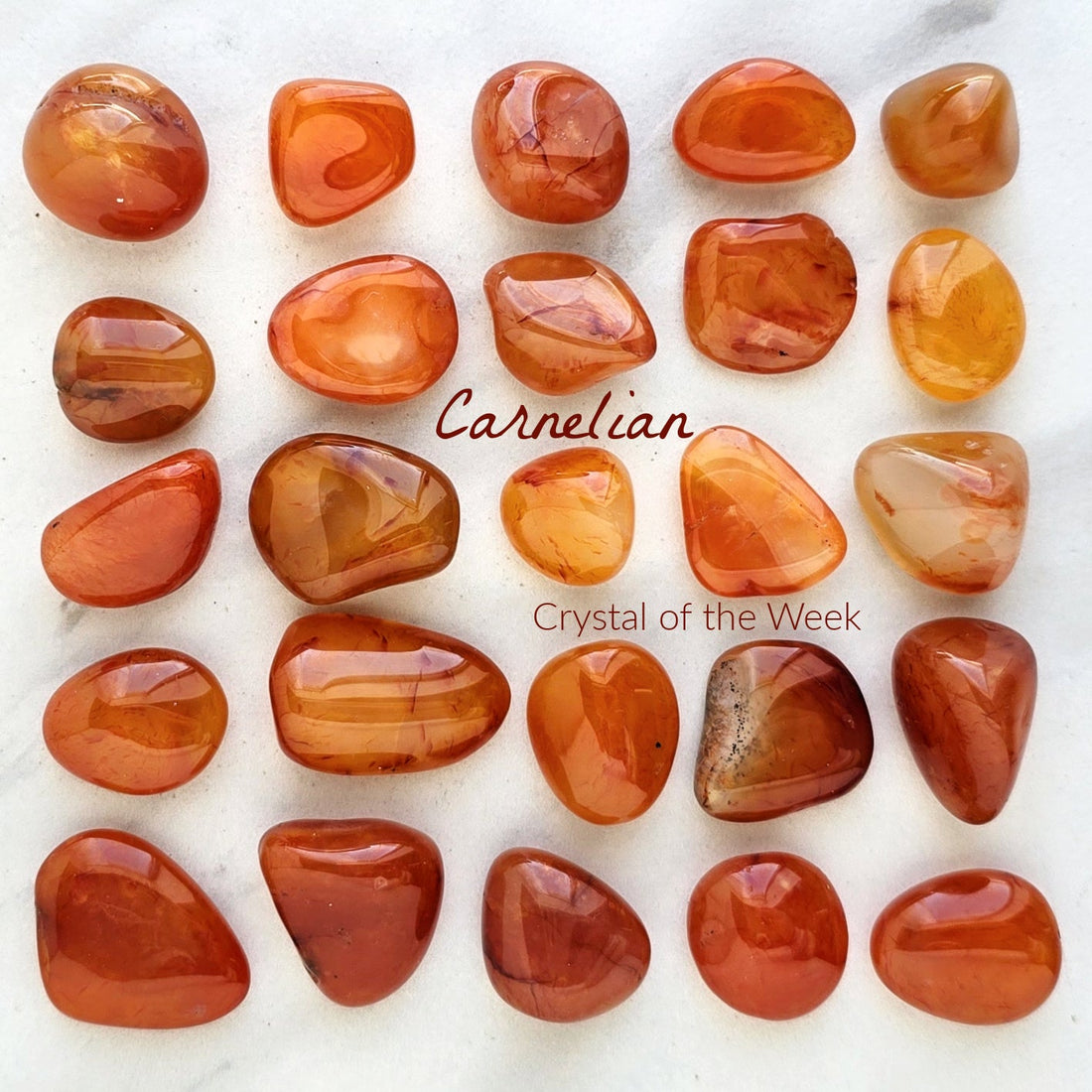 COTW | Carnelian
