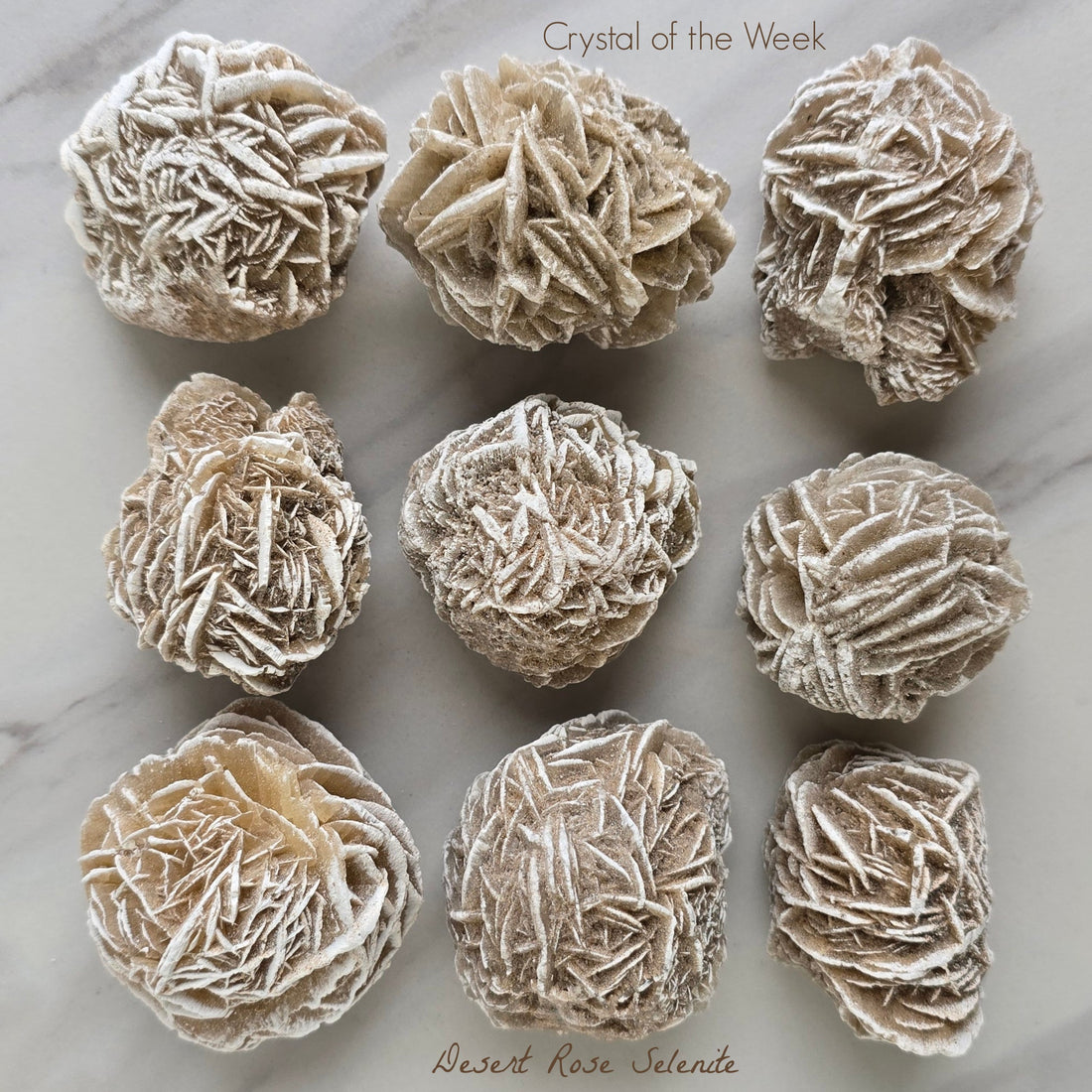 COTW | Desert Rose Selenite
