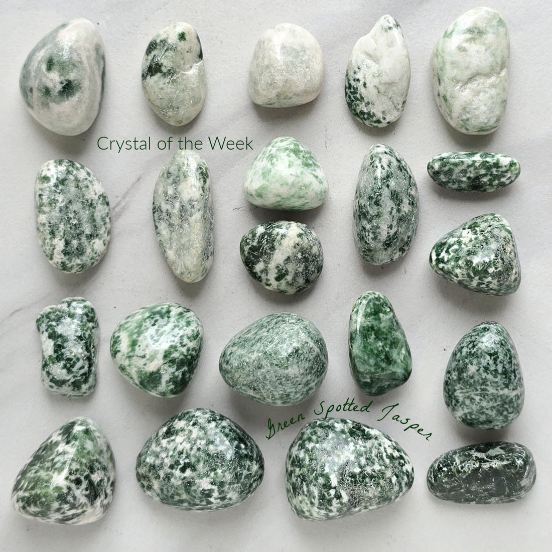 COTW | Green Spotted Jasper