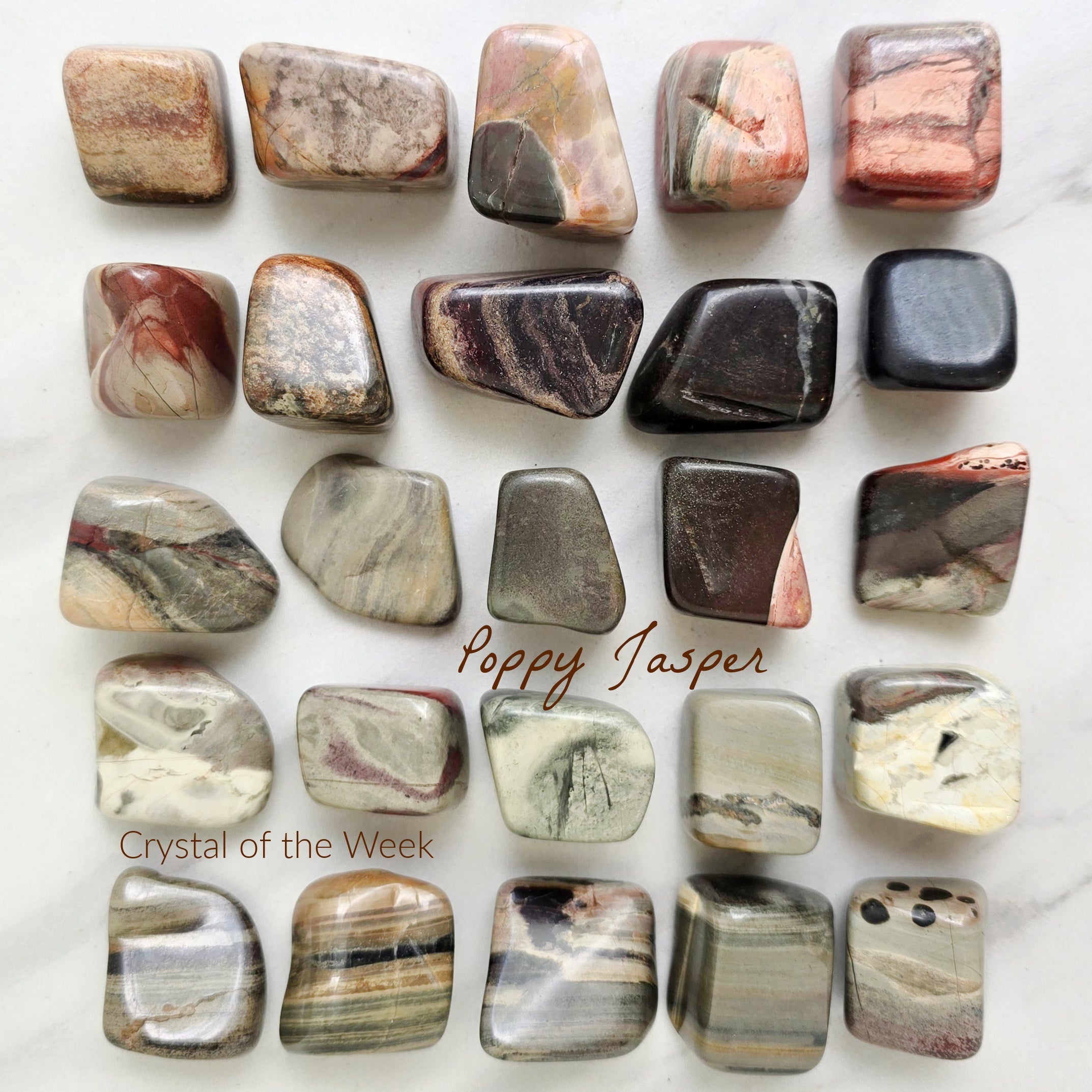 COTW | Poppy Jasper