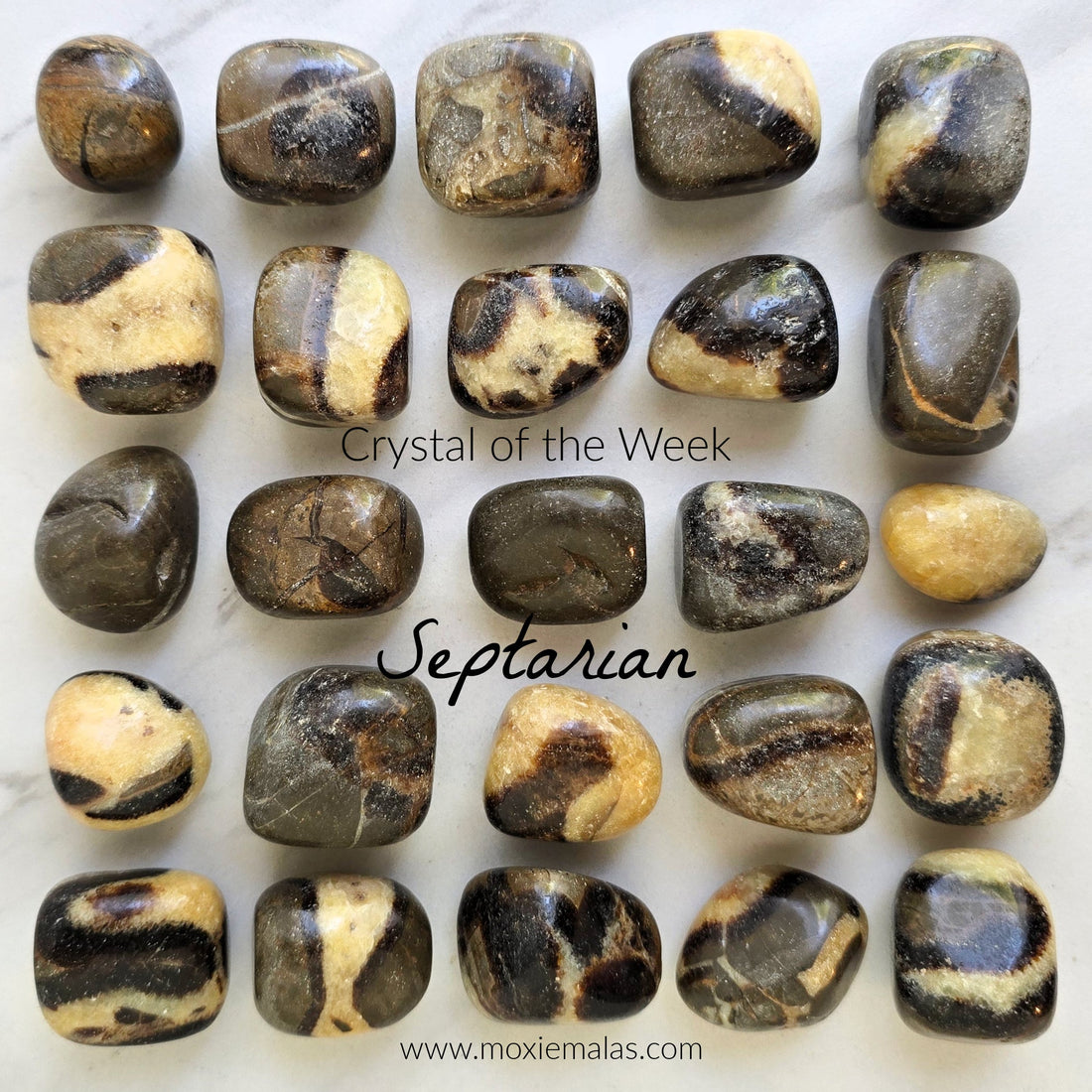 COTW | Septarian