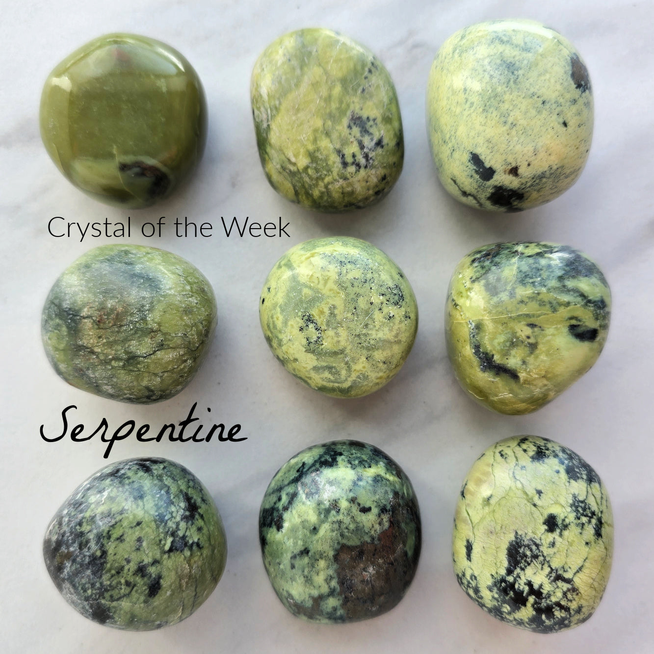 COTW | Serpentine