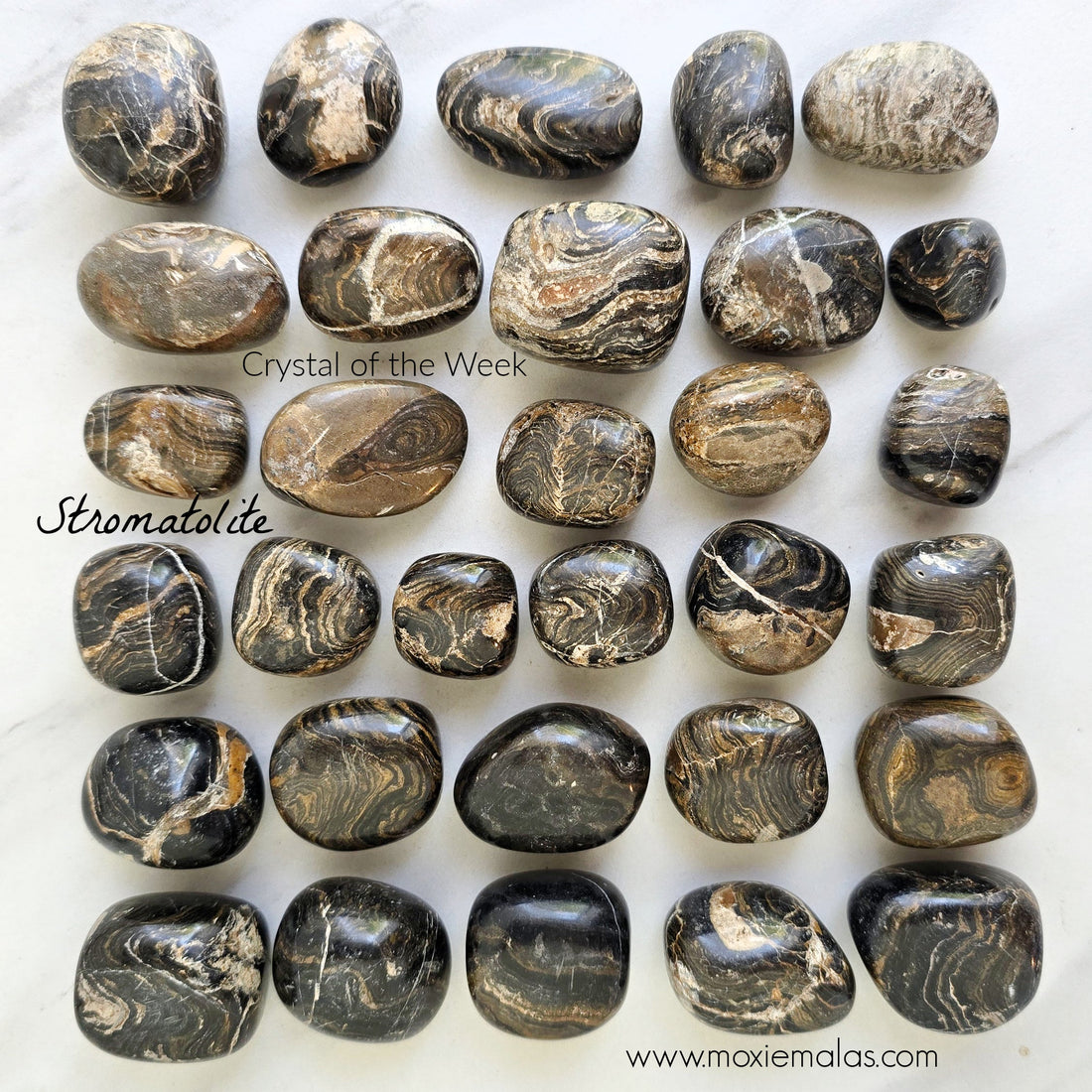 COTW | Stromatolite