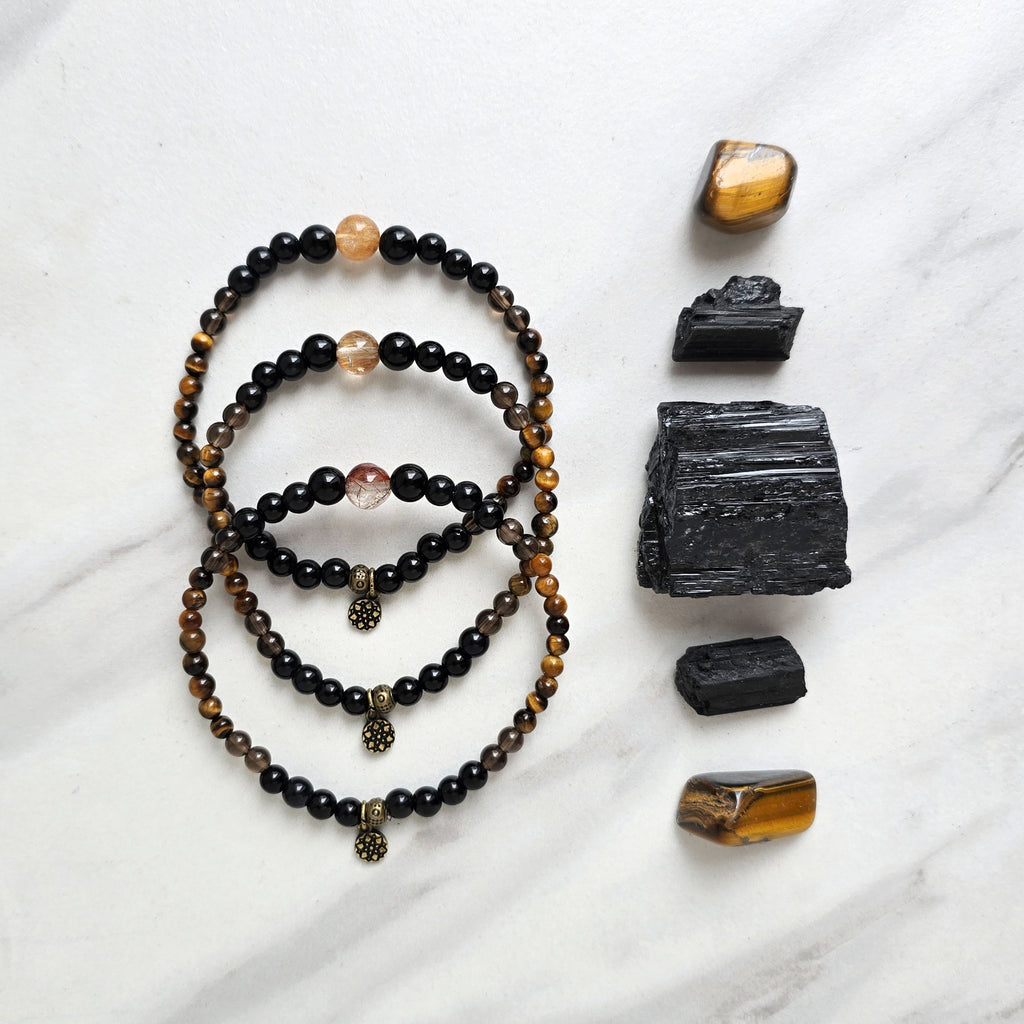 The Fierce Protector Amplifier