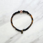 The Fierce Protector Amplifier